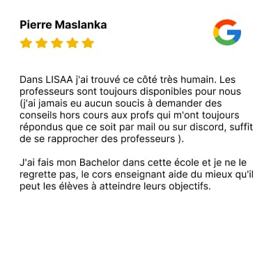 avis-lisaa-animation-jeu-video