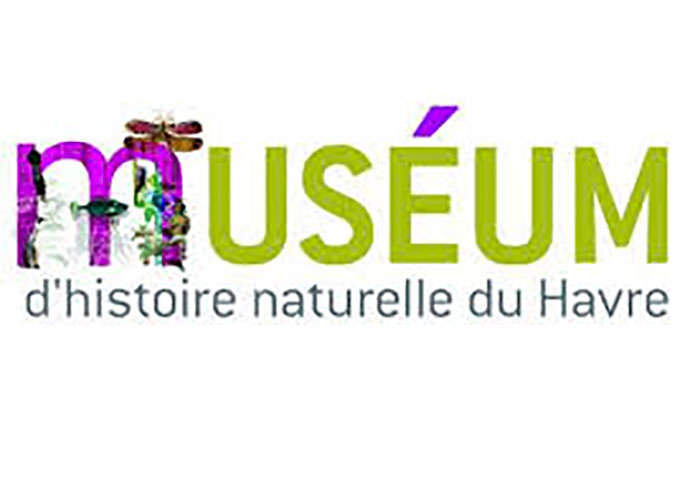musee_dhistoire_naturelle_du_havre