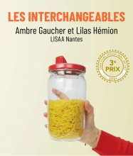 3e prix - Les interchangeables - Ambre Gauche et Lilas Hemion de LISAA Nantes 3e prix - Les interchangeables - Ambre Gauche et Lilas Hemion de LISAA Nantes